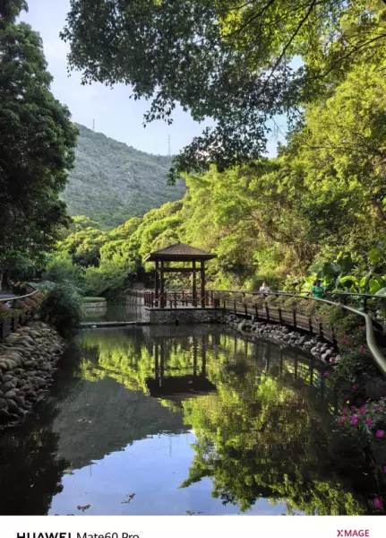 深圳月亮湾花园属于哪个街道(10)