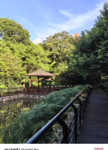深圳月亮湾花园属于哪个街道(11)