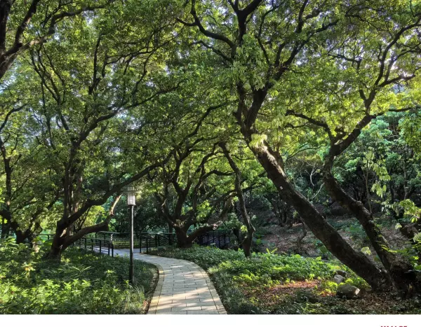 深圳月亮湾花园属于哪个街道(12)
