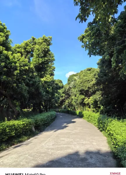 深圳月亮湾花园属于哪个街道(13)