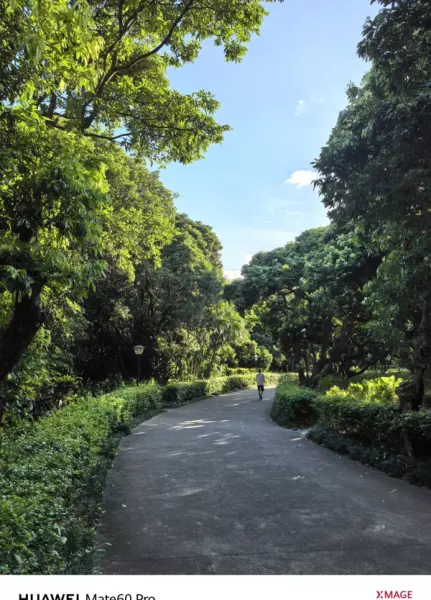 深圳月亮湾花园属于哪个街道(15)