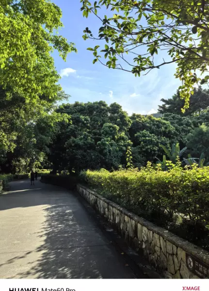 深圳月亮湾花园属于哪个街道(16)