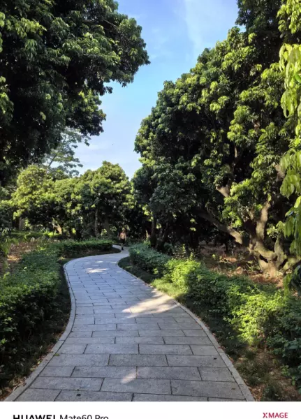 深圳月亮湾花园属于哪个街道(18)