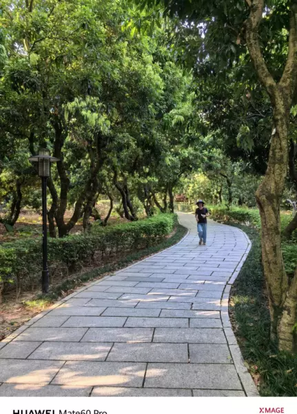 深圳月亮湾花园属于哪个街道(19)