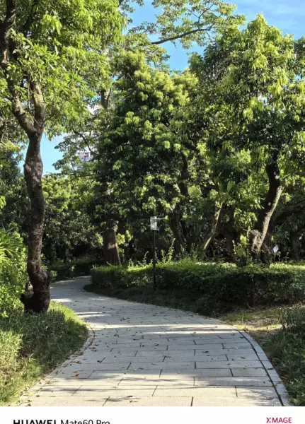 深圳月亮湾花园属于哪个街道(20)
