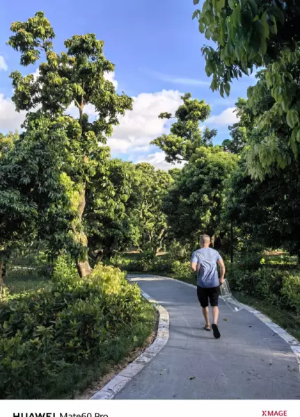 深圳月亮湾花园属于哪个街道(21)