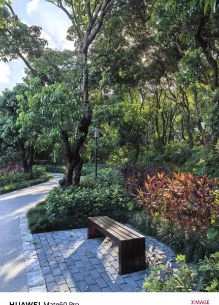 深圳月亮湾花园属于哪个街道(22)