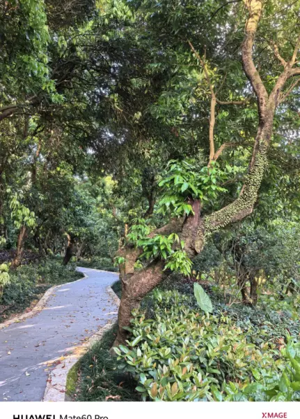 深圳月亮湾花园属于哪个街道(23)