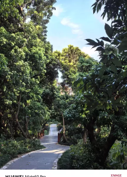 深圳月亮湾花园属于哪个街道(24)