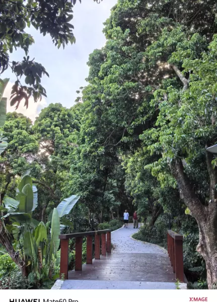 深圳月亮湾花园属于哪个街道(25)