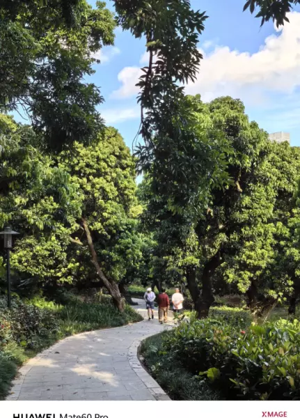深圳月亮湾花园属于哪个街道(26)