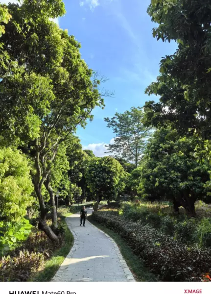 深圳月亮湾花园属于哪个街道(28)