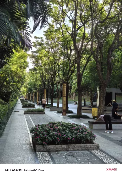 深圳月亮湾花园属于哪个街道(2)