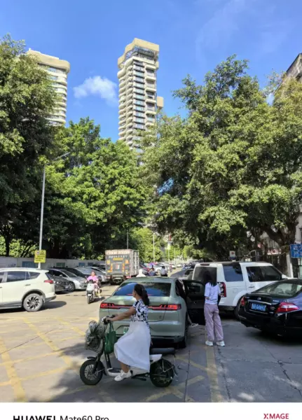 深圳月亮湾花园属于哪个街道(32)