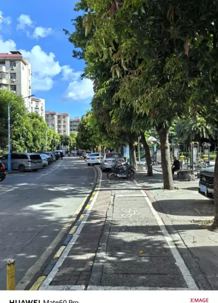 深圳月亮湾花园属于哪个街道(33)