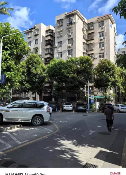 深圳月亮湾花园属于哪个街道(35)
