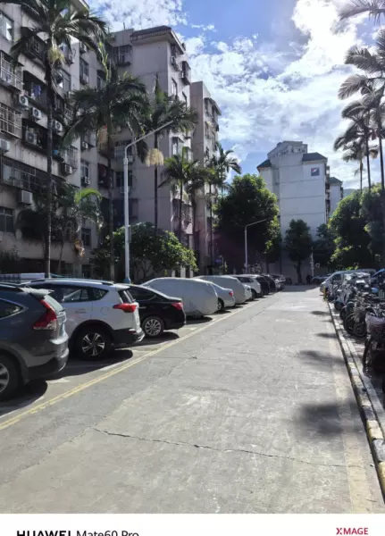 深圳月亮湾花园属于哪个街道(37)