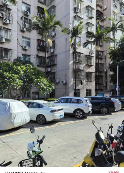 深圳月亮湾花园属于哪个街道(38)