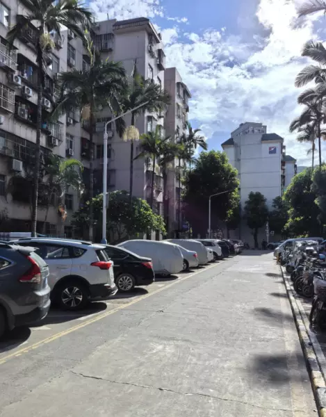 深圳月亮湾花园属于哪个街道(39)