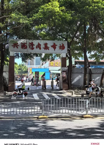 深圳月亮湾花园属于哪个街道(45)