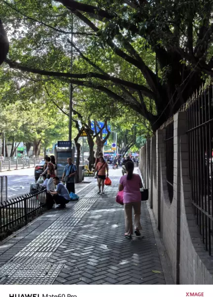 深圳月亮湾花园属于哪个街道(46)