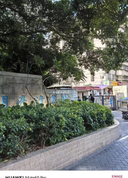 深圳月亮湾花园属于哪个街道(47)