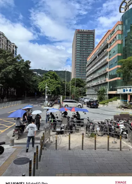 深圳月亮湾花园属于哪个街道(51)