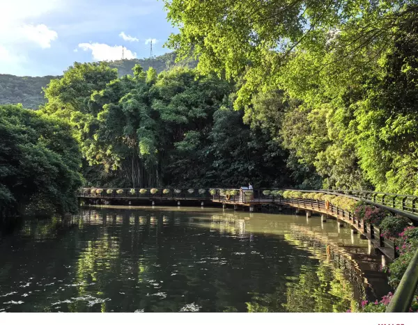 深圳月亮湾花园属于哪个街道(6)
