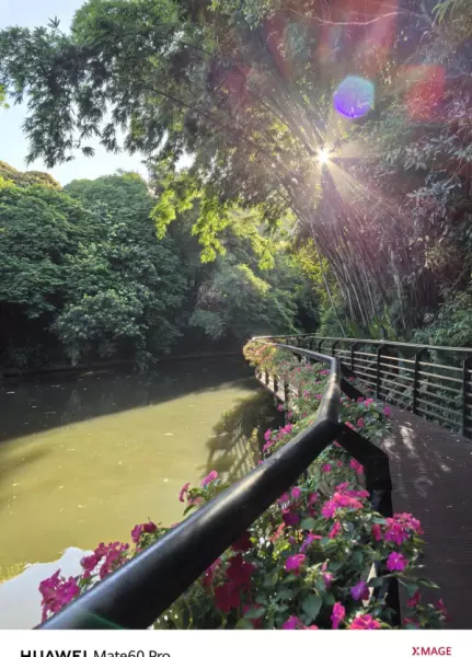 深圳月亮湾花园属于哪个街道(8)