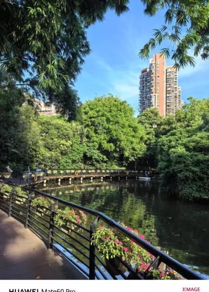 深圳月亮湾花园属于哪个街道(9)