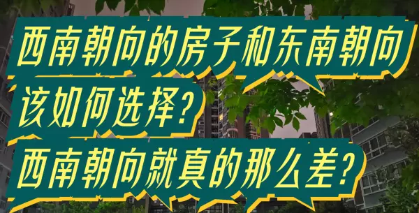 西南向的房子有什么优缺点(1)