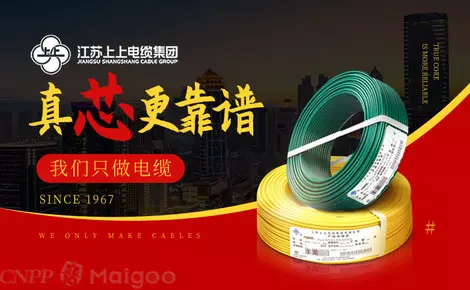 电线电缆十大名牌哪个性价比高(6)