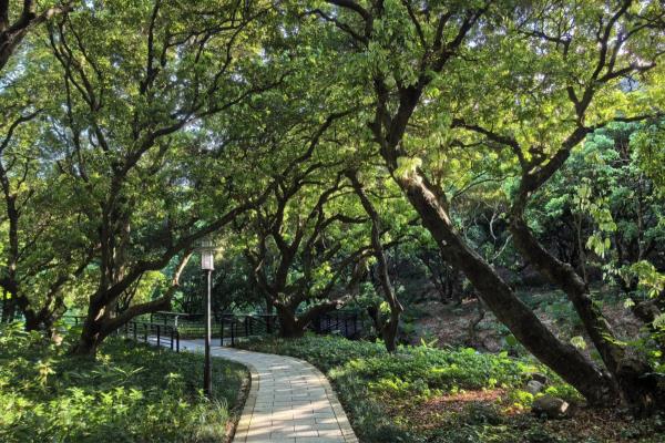 深圳月亮湾花园属于哪个街道.