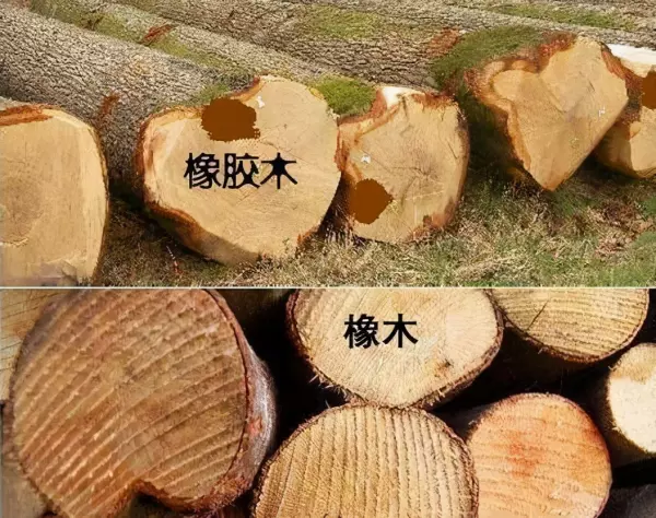 橡木与橡胶木的区别与价格(1)