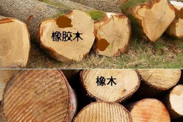 橡木与橡胶木的区别与价格.