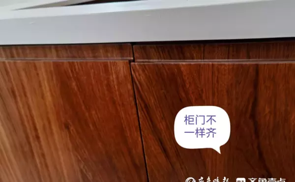 青岛家具全屋定制木业公司有哪些(2)