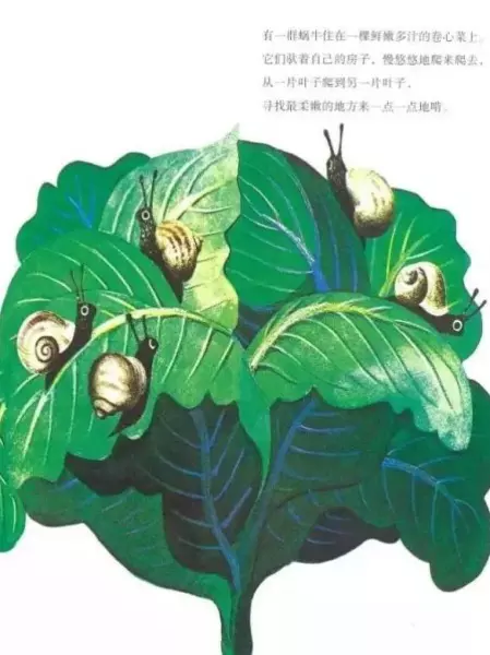 世界上最大的房子绘本教案及反思(2)