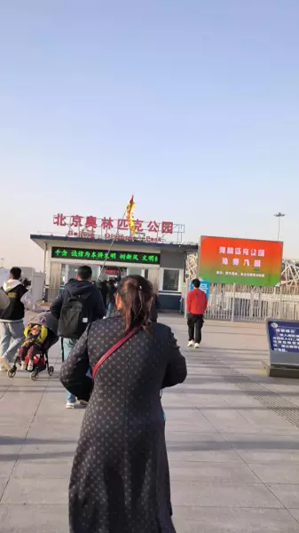 鸟巢面积多少平方千米(2)
