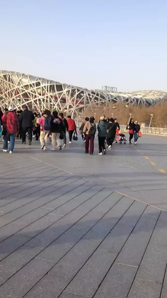 鸟巢面积多少平方千米(5)