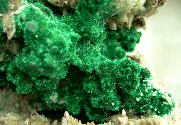 板岩是什么岩石变质形成的(6)