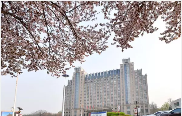 河北大学保研的都保的什么大学(1)