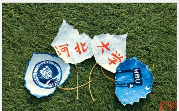 河北大学保研的都保的什么大学(2)