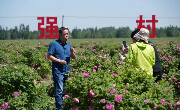 房家村属于哪个乡镇(5)