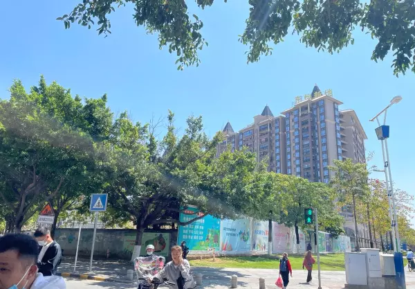 尚东鼎开发商是哪个公司(1)