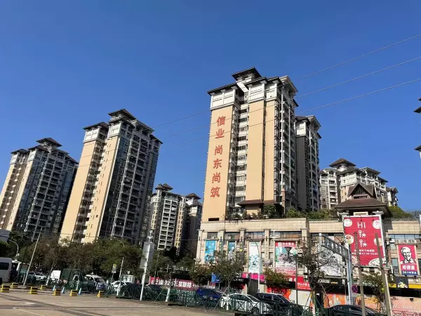 尚东鼎开发商是哪个公司(2)