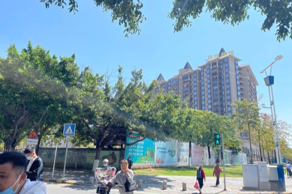 尚东鼎开发商是哪个公司.