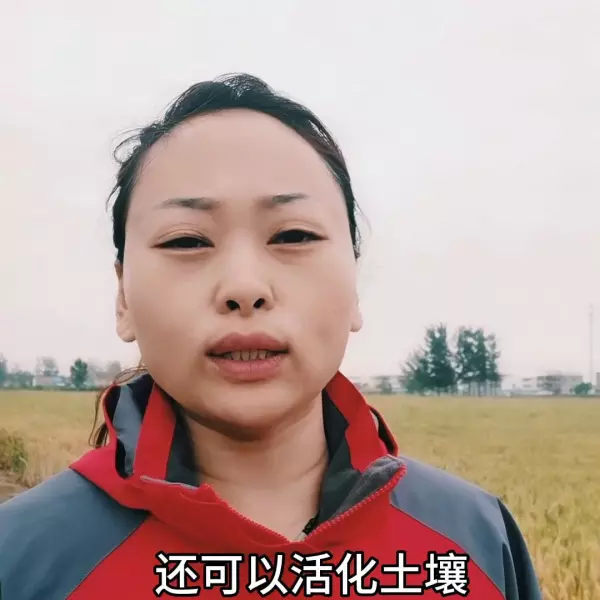 家庭园艺植物营养液有国标或企标吗(2)