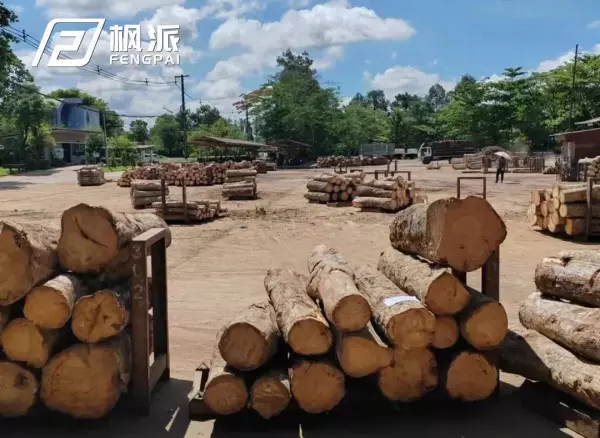 橡胶木的优缺点是什么样的(1)