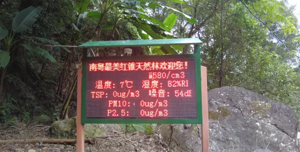 红椎树是什么样子(2)