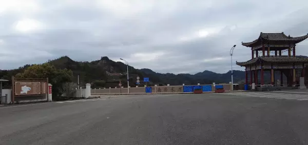 红椎树是什么样子(3)